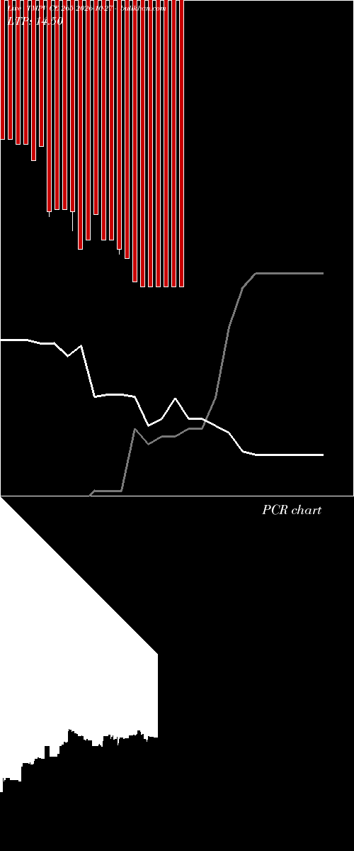  option chart TMPV CE 265 2026-10-27 