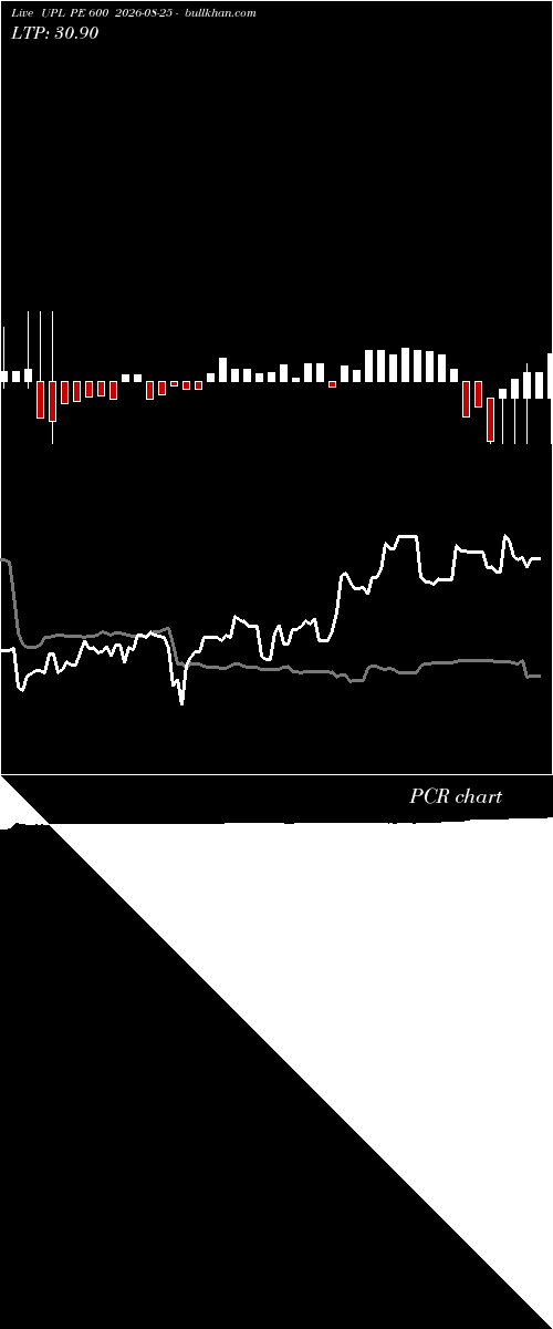  option chart UPL PE 600 2026-08-25 