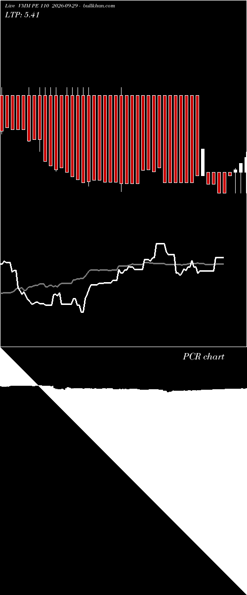  option chart VMM PE 110 2026-09-29 