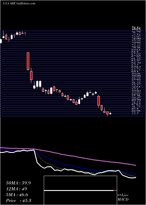  Daily chart AlexandriaReal