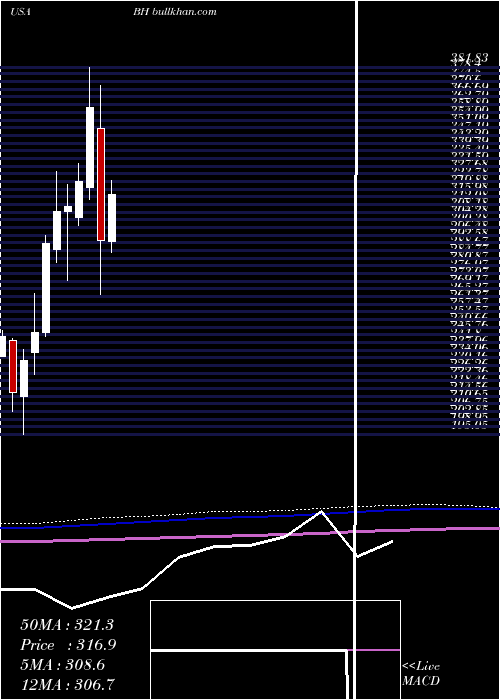  monthly chart BiglariHoldings
