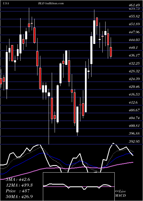  Daily chart TopbuildCorp