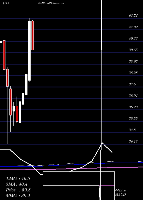  monthly chart BlackrockHealth