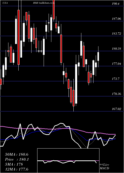  Daily chart BadgerMeter