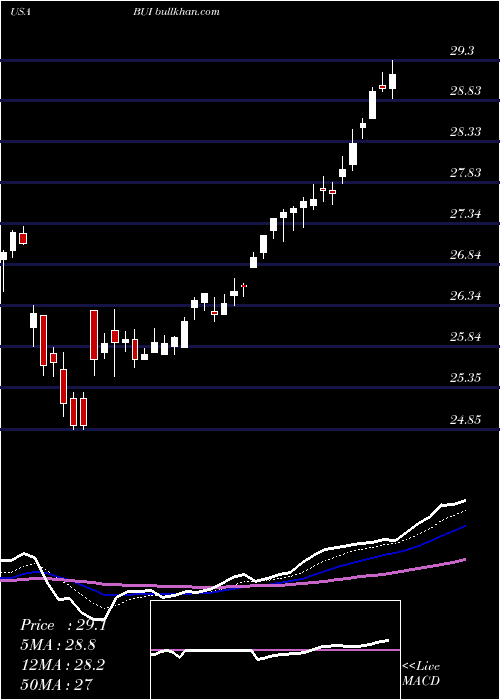  Daily chart BlackrockUtility