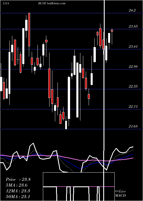  Daily chart FirstBusey