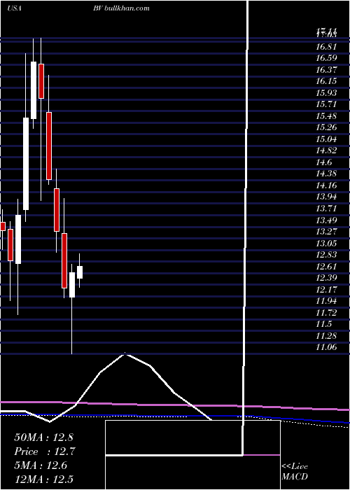  monthly chart BrightviewHoldings