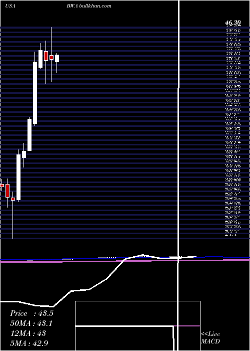  monthly chart BorgwarnerInc