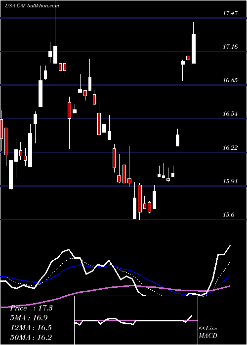  Daily chart MorganStanley