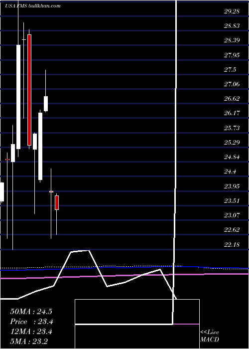  monthly chart FreseniusMedical