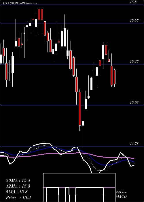  Daily chart GuggenheimTaxable