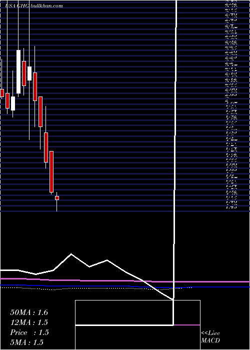  monthly chart GreentreeHospitality