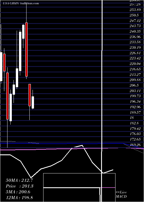  monthly chart Garmin