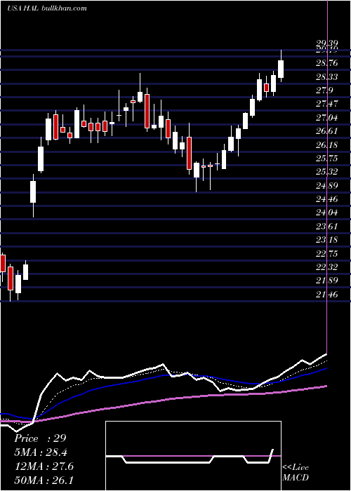 Daily chart HalliburtonCompany