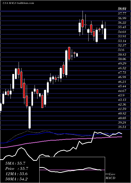  weekly chart MagalSecurity