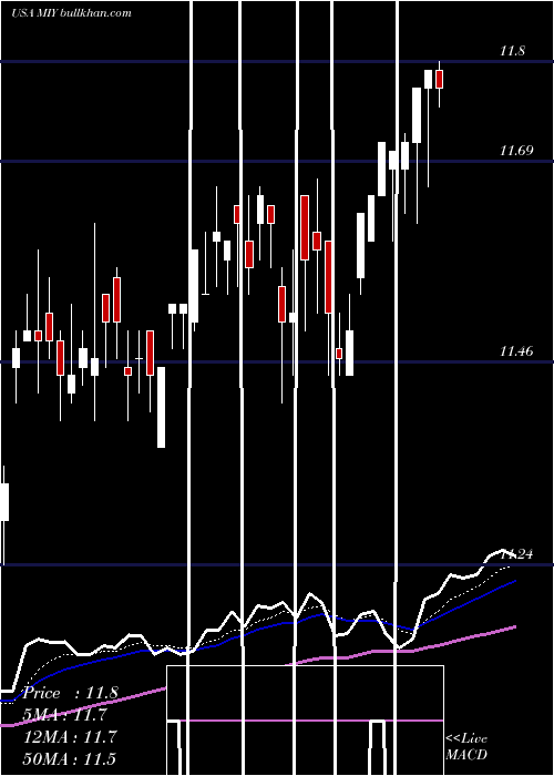  Daily chart BlackrockMuniyield
