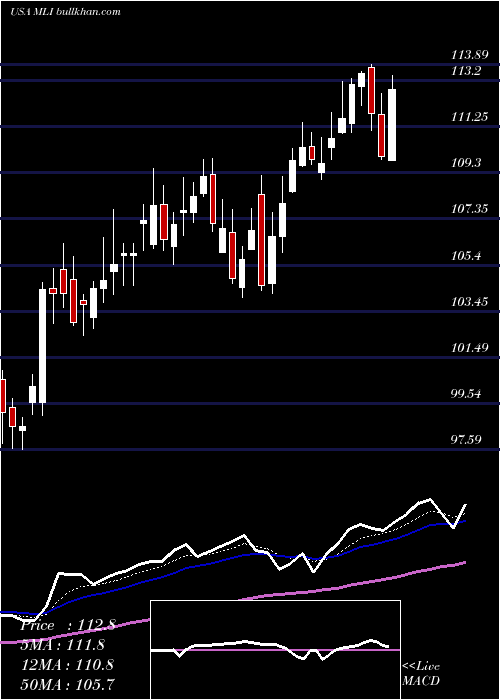  Daily chart MuellerIndustries