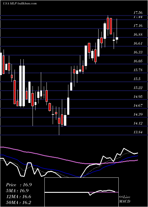  Daily chart MauiLand