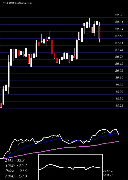  Daily chart MovadoGroup
