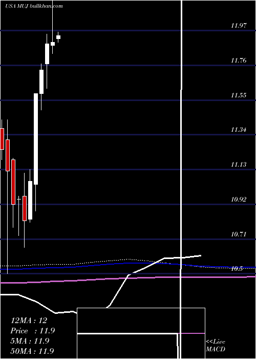 monthly chart BlackrockMuniholdings