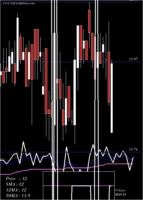  Daily chart NuveenArizona