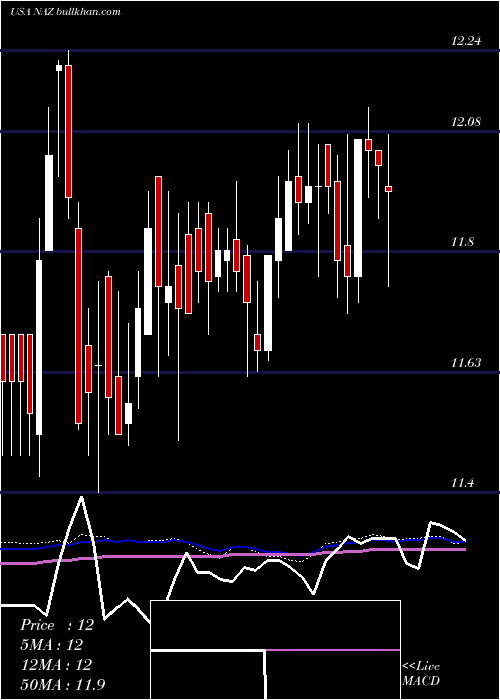  weekly chart NuveenArizona