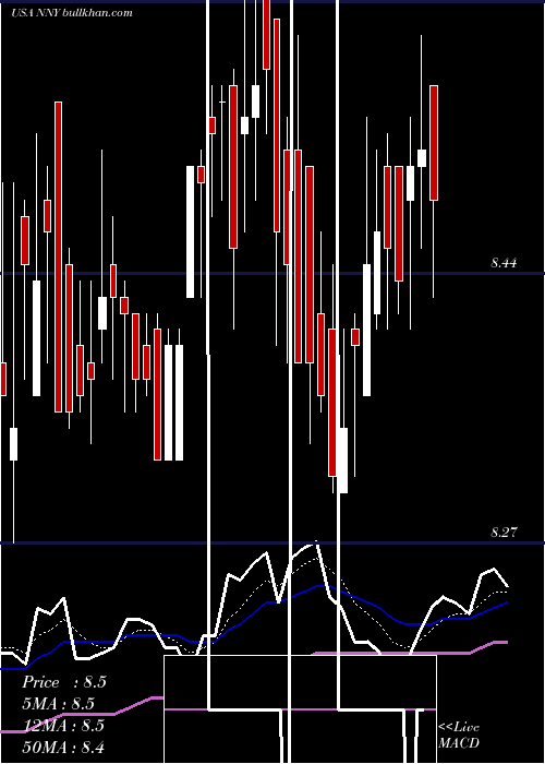  Daily chart NuveenNew