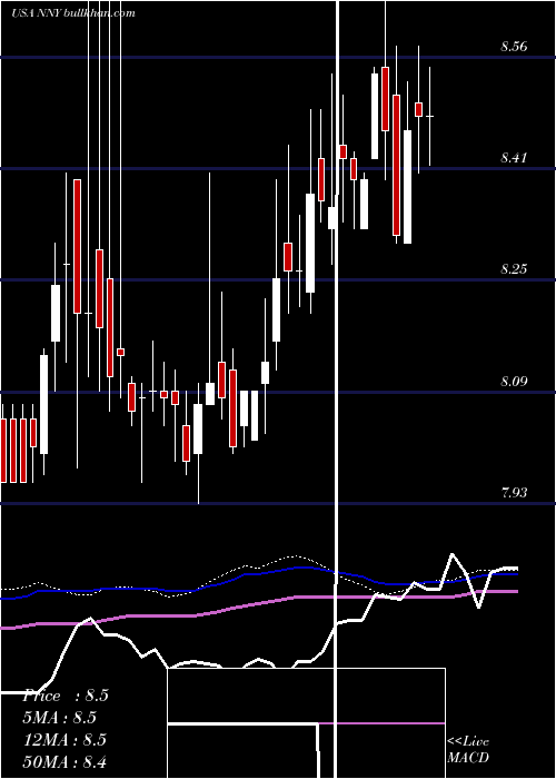  weekly chart NuveenNew