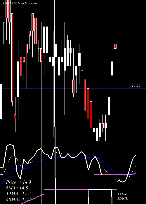  Daily chart NuveenAmt