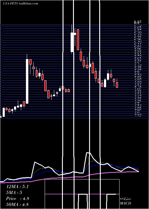  Daily chart PetmedExpress