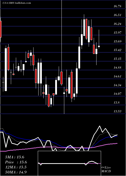  Daily chart SallyBeauty