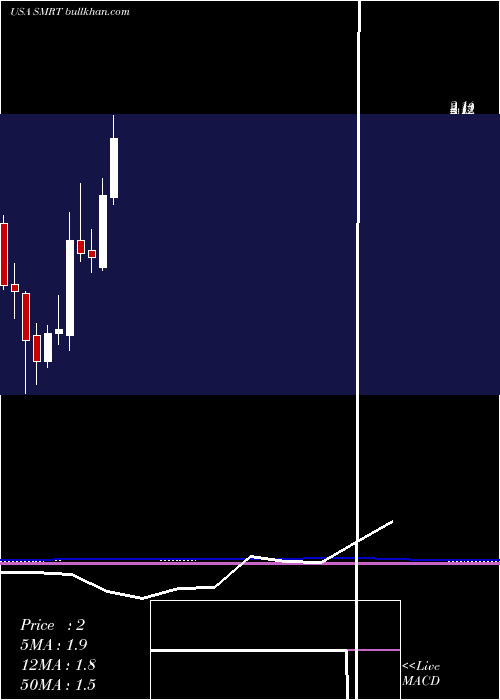  monthly chart SteinMart