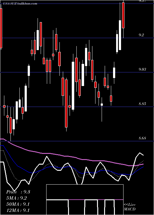  Daily chart SuzanoPapel