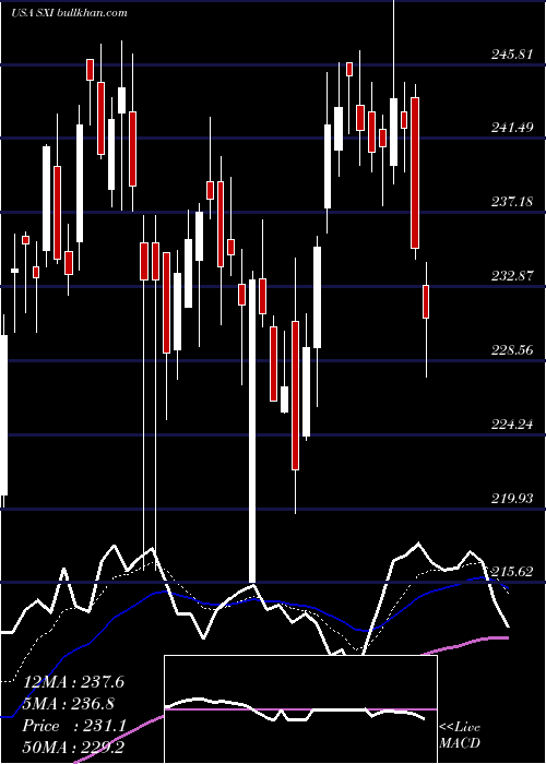  Daily chart StandexInternational