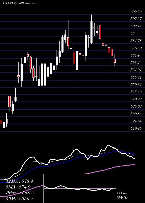  Daily chart ThermoFisher