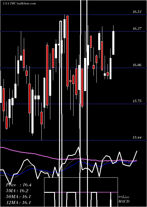  Daily chart TejonRanch