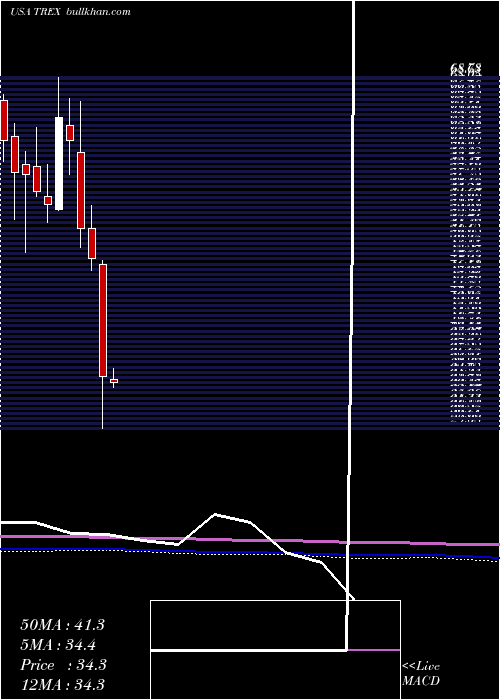  monthly chart TrexCompany