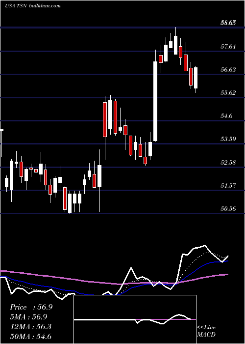  Daily chart TysonFoods