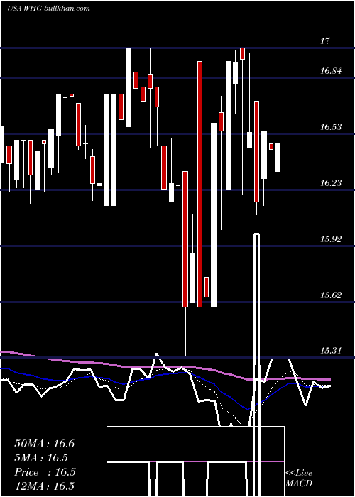  Daily chart WestwoodHoldings