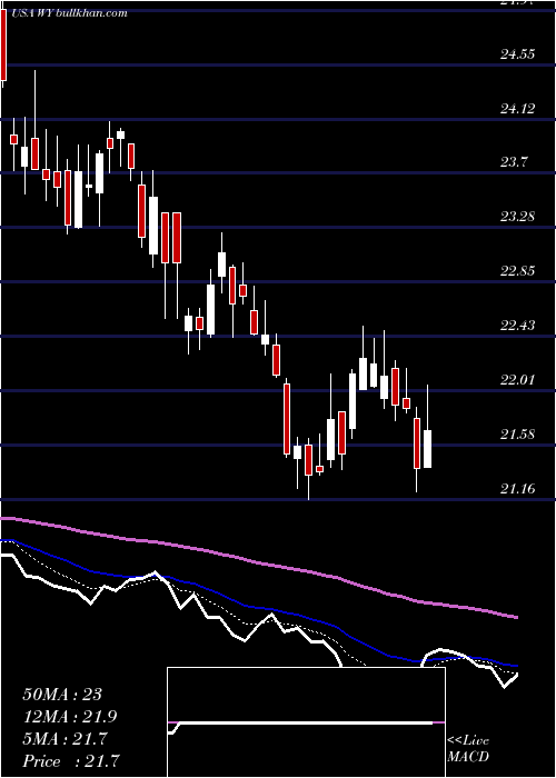  Daily chart WeyerhaeuserCompany