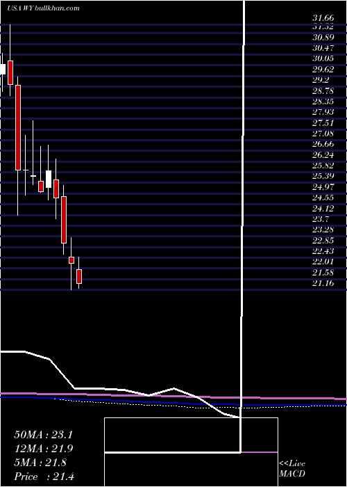 monthly chart WeyerhaeuserCompany